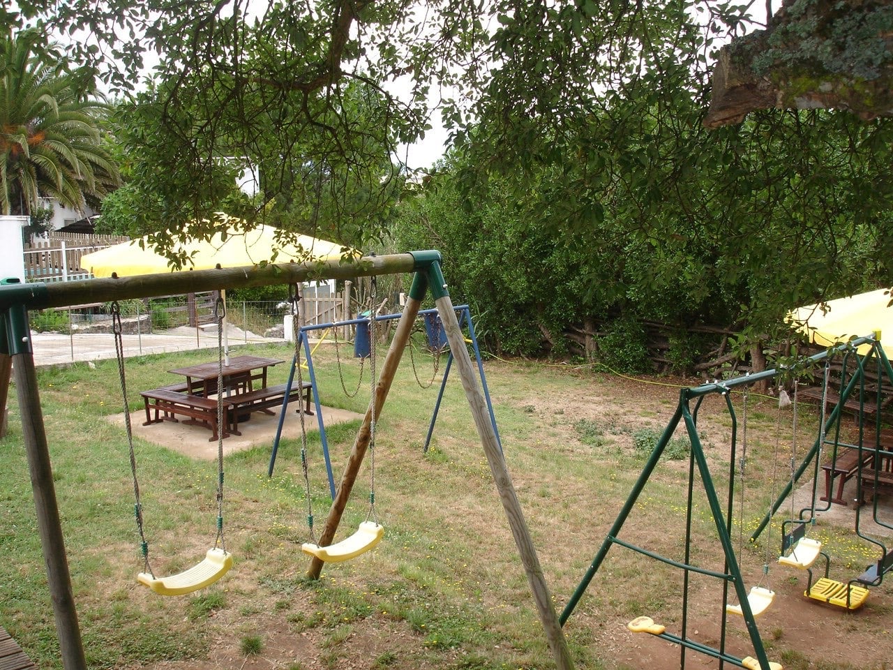 177608_236662106461612_1449137679_o