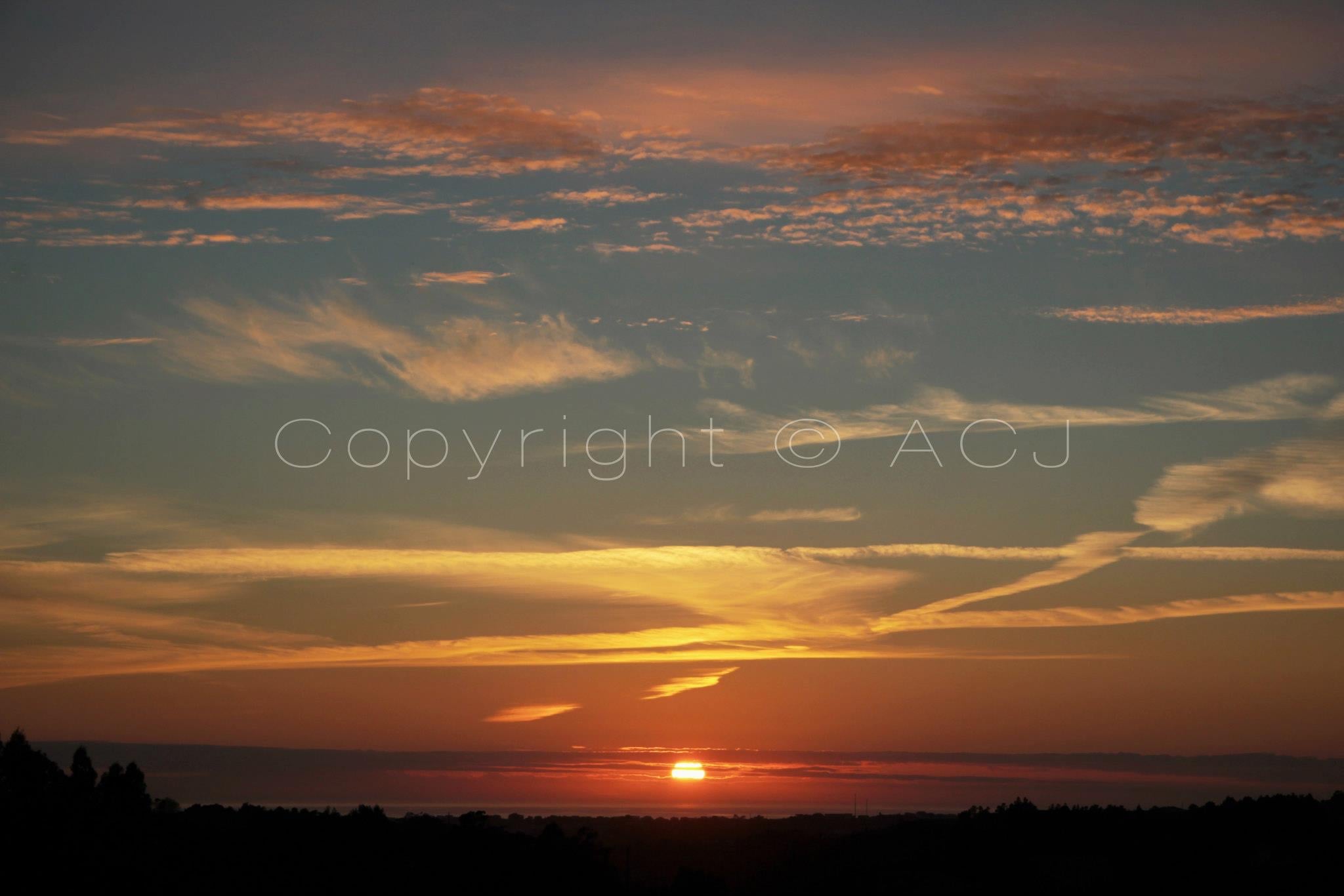 218254_218264481634708_593517656_o