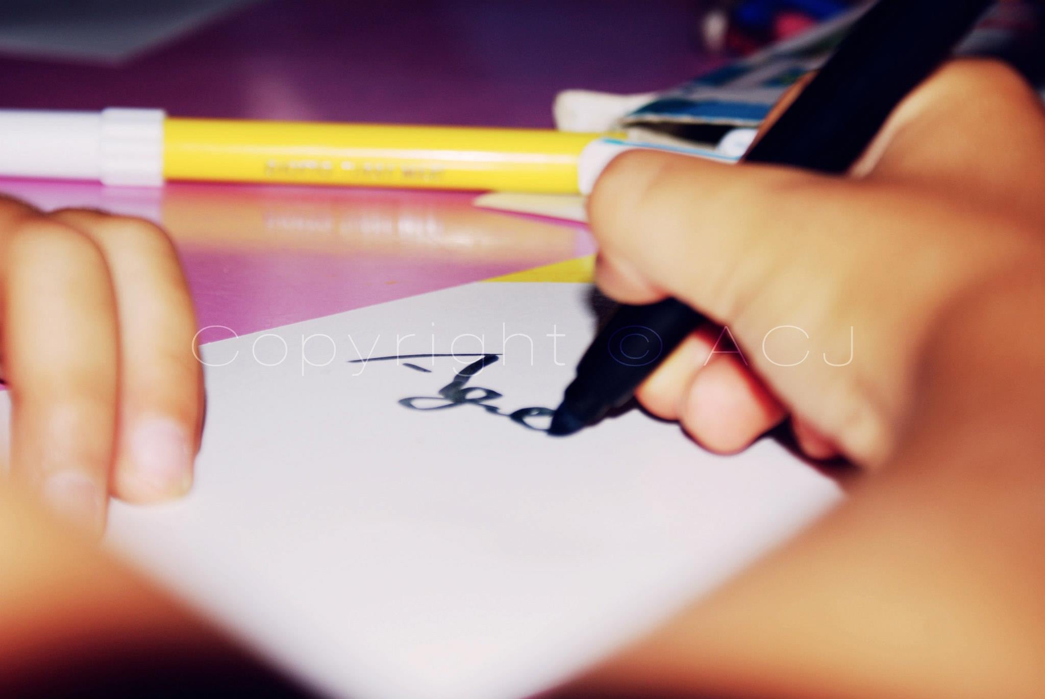 324688_220988574695632_1852855444_o